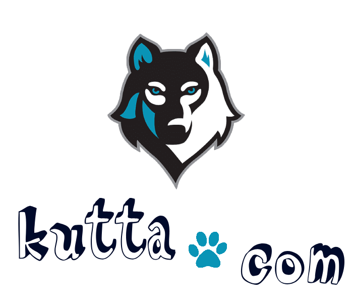Kutta.com