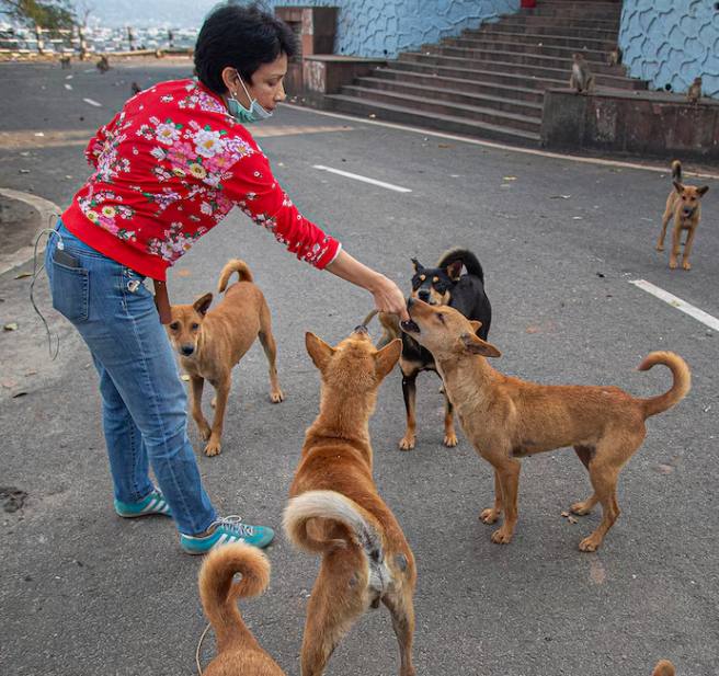 Why Street Dogs Remember Kindness Forever